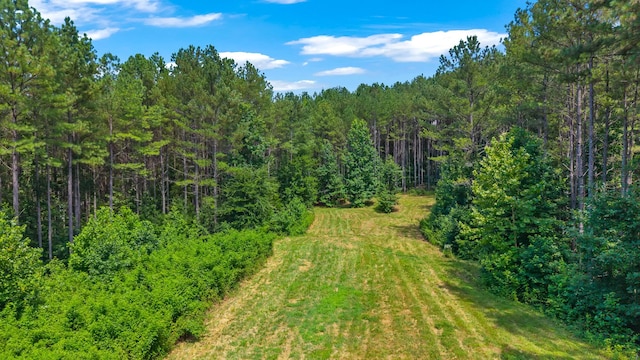 129 County Road 192, Niota, TN 37826 - photo 11