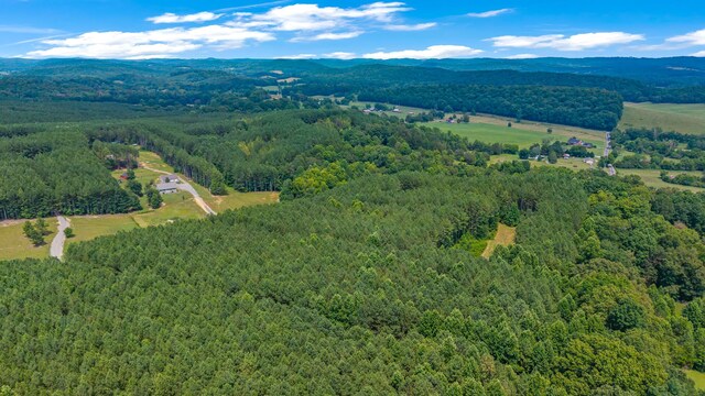 129 County Road 192, Niota, TN 37826 - photo 32