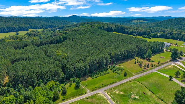 129 County Road 192, Niota, TN 37826 - photo 27