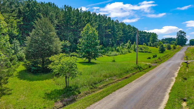 129 County Road 192, Niota, TN 37826 - photo 7