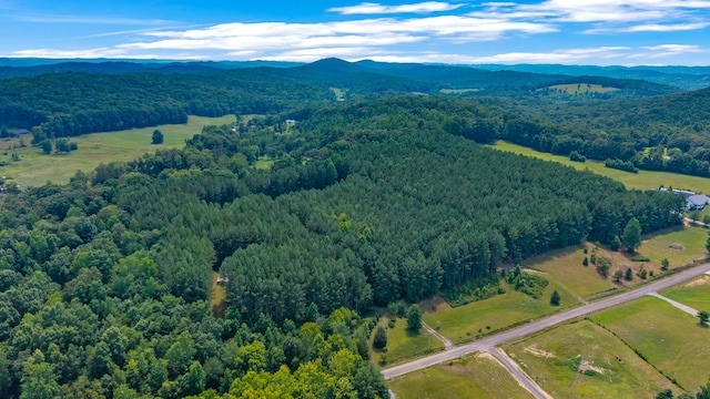 129 County Road 192, Niota, TN 37826 - photo 33