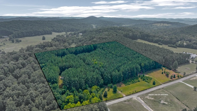 129 County Road 192, Niota, TN 37826 - photo 2