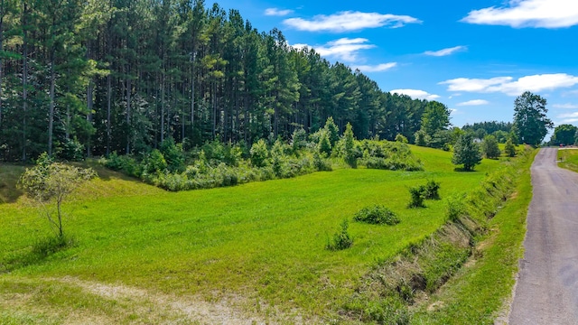 129 County Road 192, Niota, TN 37826 - photo 28