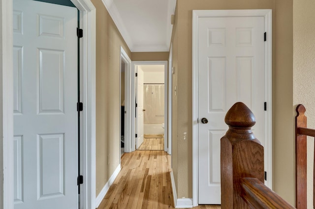 271 Hidden Oaks Trl NE, Cleveland, TN 37312 - hallway with light wood finished floors and ornamental molding