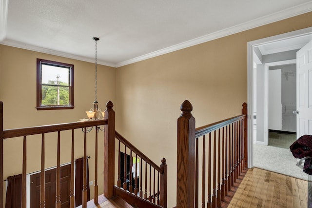 271 Hidden Oaks Trl NE, Cleveland, TN 37312 - corridor featuring an upstairs landing, wood finished floors, and crown molding