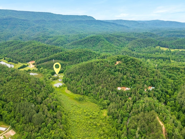 drone / aerial view featuring a mountain view