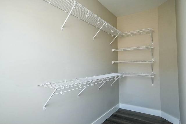 walk in closet with dark wood finished floors