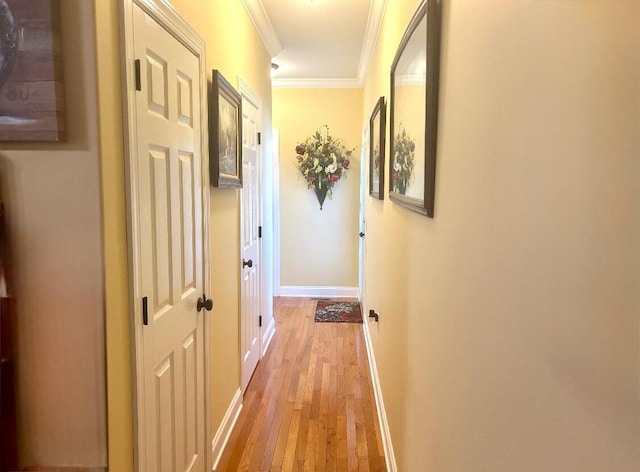 hall featuring hardwood / wood-style flooring and crown molding