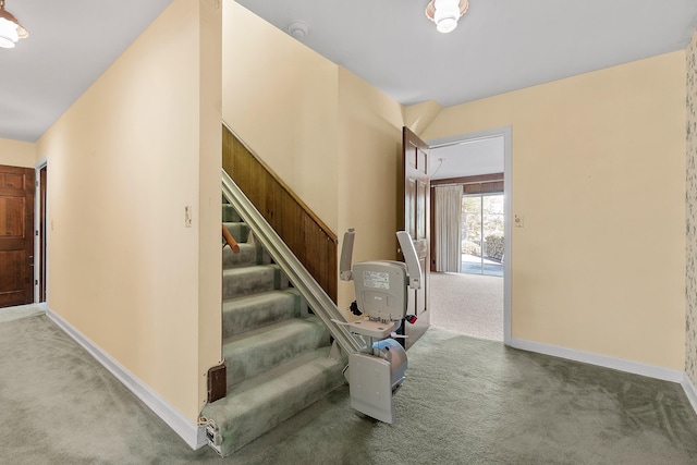 staircase featuring carpet floors