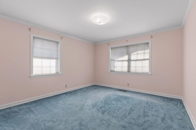 spare room featuring carpet and ornamental molding