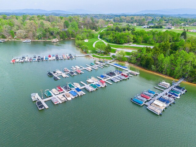 407 Kahite Trl, Vonore, TN 37885 - aerial view of a nearby body of water and a marina