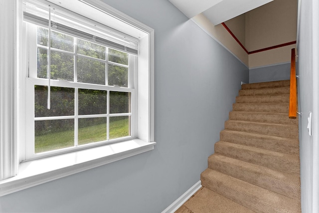 407 Kahite Trl, Vonore, TN 37885 - stairs with baseboards