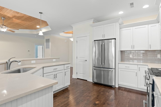 kitchen featuring sink, white cabinets, premium appliances, and a tray ceiling