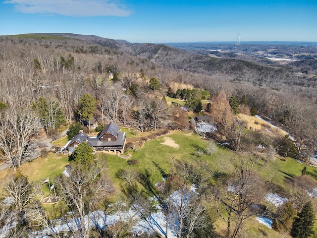 bird's eye view with a mountain view