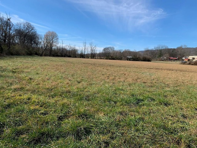 0 Wayne Ln, Evensville TN, 37332 land for sale