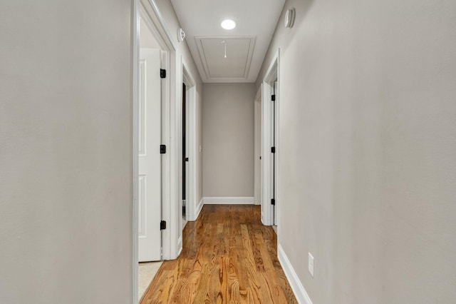 1851 Preservation Dr NE, Cleveland, TN 37323 - corridor with attic access, light wood-type flooring, and baseboards