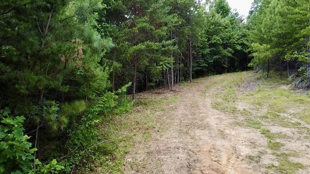 0 Mount Zion Rd NW, Cleveland, TN 37312 - photo 3