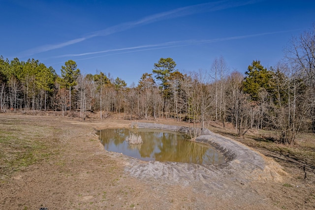 property view of water featuring a view of trees