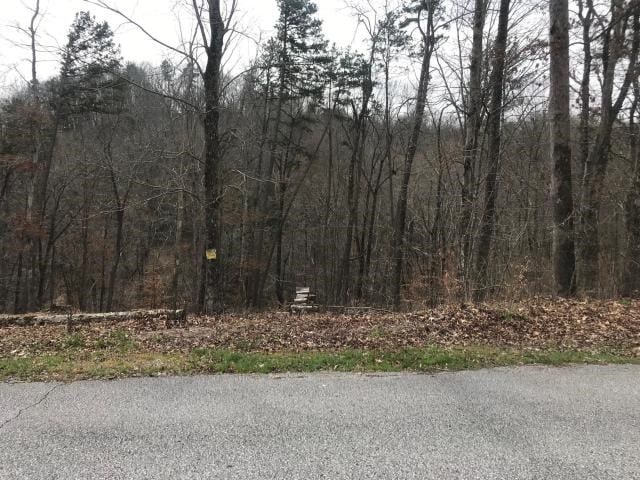 Listing photo 3 for LOT26 Sawmill Cv, Rockwood TN 37854