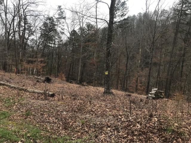 LOT26 Sawmill Cv, Rockwood TN, 37854 land for sale