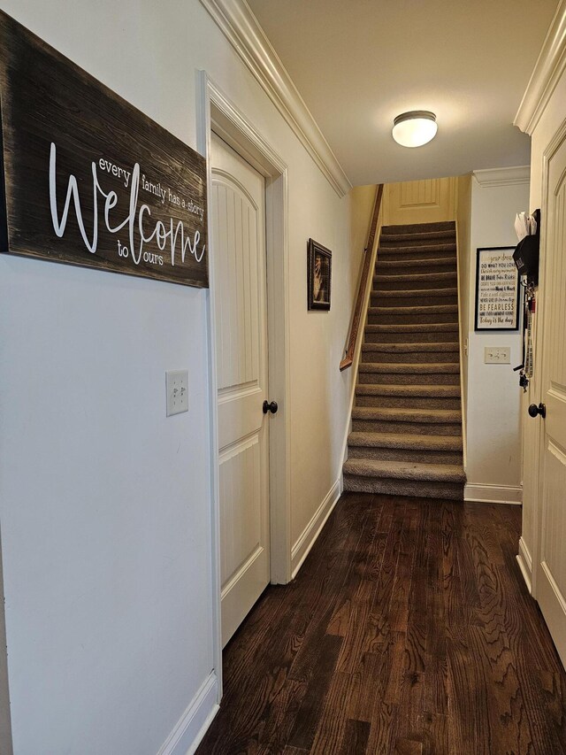 411 Cedar Hill Ln NW, Cleveland, TN 37312 - photo 30