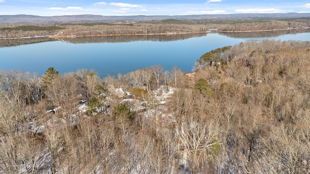 drone / aerial view with a water and mountain view