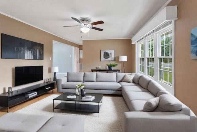 living room featuring hardwood / wood-style flooring, ceiling fan, and crown molding