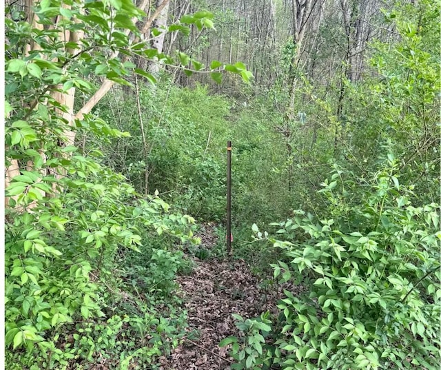 165 Brentwood Pl, Lenoir City, TN 37772