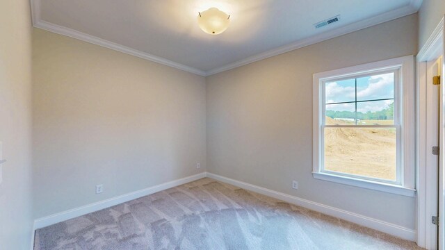 5111 Ella Dr NW, Cleveland, TN 37312 - photo 40