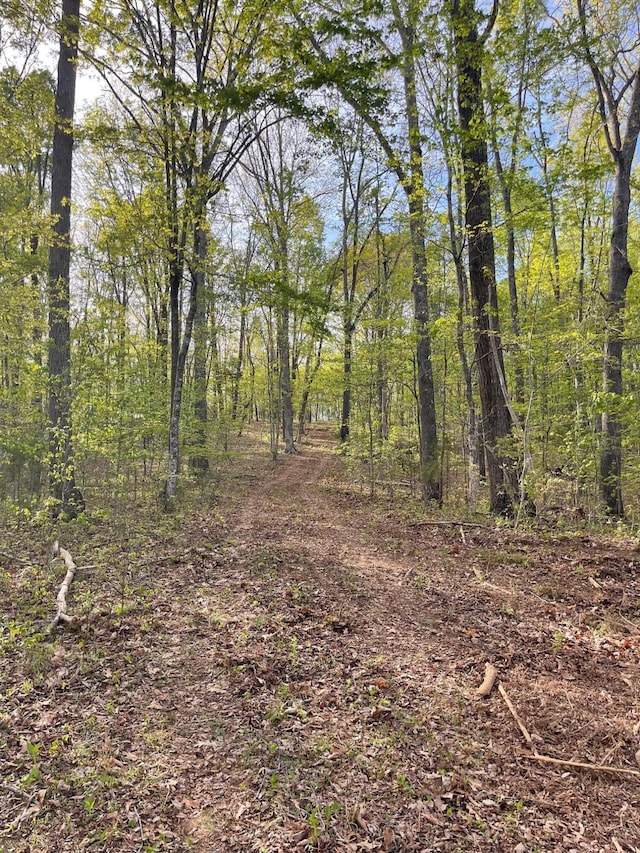 236 Branham Ln, Ten Mile, TN 37880 - photo 23