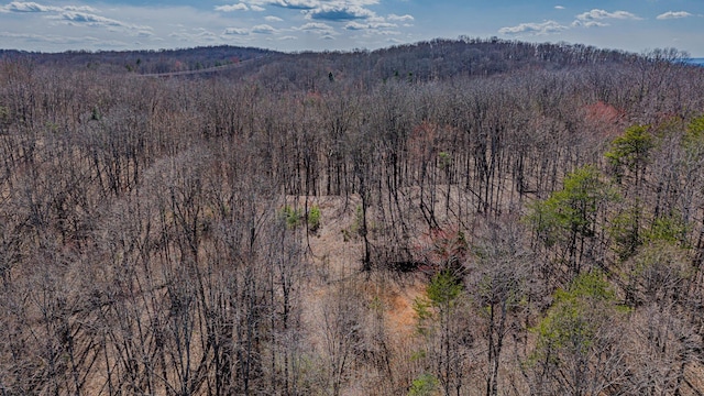 236 Branham Ln, Ten Mile, TN 37880 - photo 20
