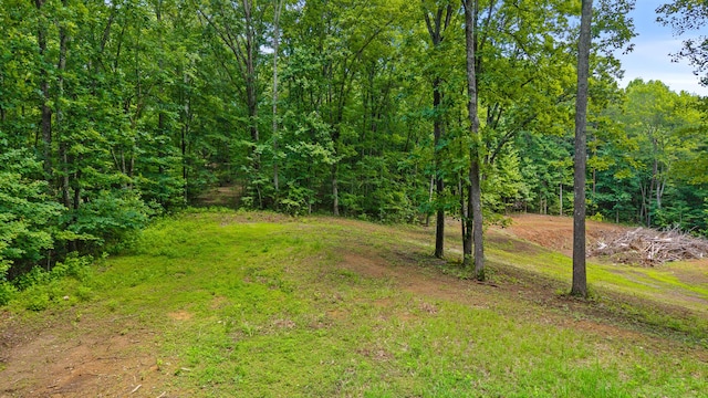 236 Branham Ln, Ten Mile, TN 37880 - photo 7