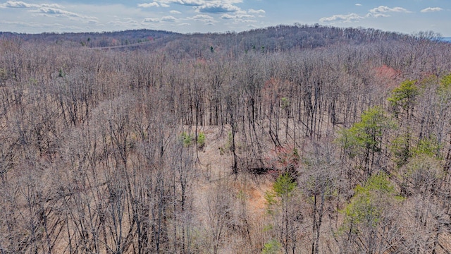 236 Branham Ln, Ten Mile, TN 37880