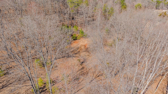 236 Branham Ln, Ten Mile, TN 37880 - photo 17