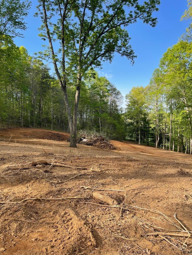 236 Branham Ln, Ten Mile, TN 37880