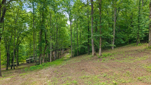 236 Branham Ln, Ten Mile, TN 37880 - photo 5
