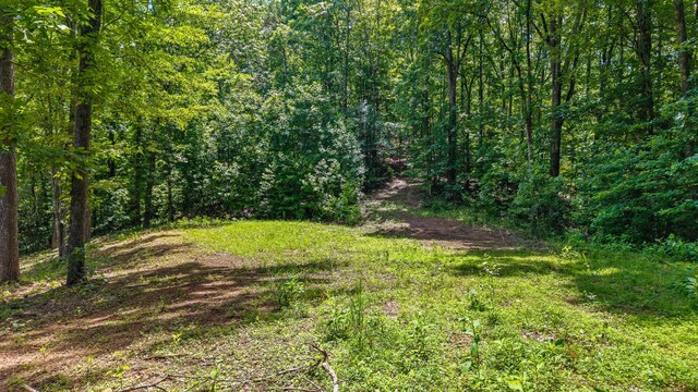 236 Branham Ln, Ten Mile, TN 37880 - photo 12