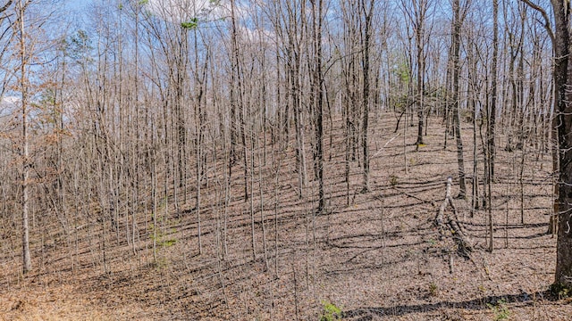 236 Branham Ln, Ten Mile, TN 37880