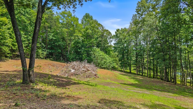 236 Branham Ln, Ten Mile, TN 37880 - photo 8