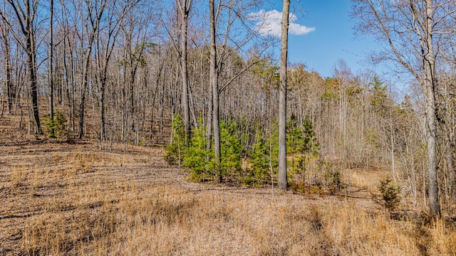 236 Branham Ln, Ten Mile, TN 37880 - photo 16