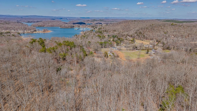 236 Branham Ln, Ten Mile TN, 37880 land for sale