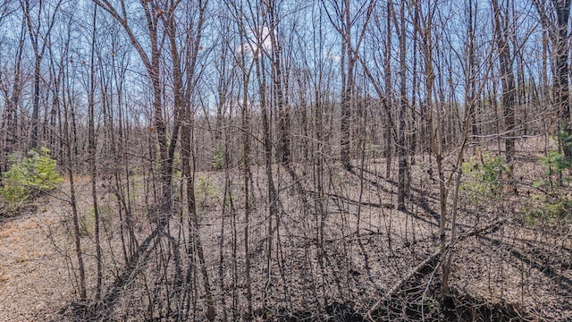 236 Branham Ln, Ten Mile, TN 37880 - photo 19