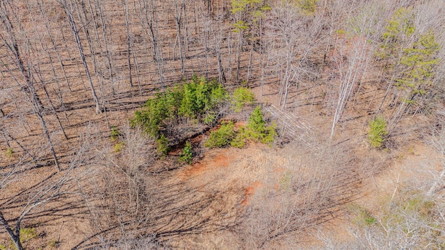 236 Branham Ln, Ten Mile, TN 37880 - photo 18