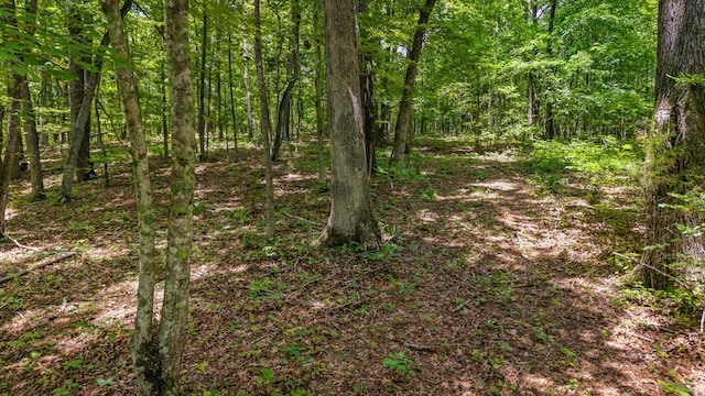 236 Branham Ln, Ten Mile, TN 37880 - photo 10
