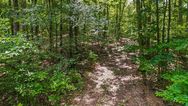 236 Branham Ln, Ten Mile, TN 37880 - photo 11