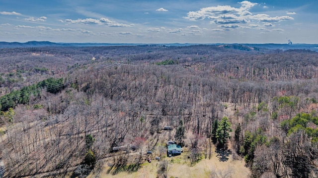 236 Branham Ln, Ten Mile, TN 37880 - photo 22