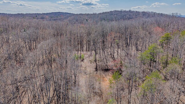 236 Branham Ln, Ten Mile, TN 37880 - photo 21