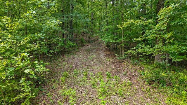 236 Branham Ln, Ten Mile, TN 37880 - photo 6