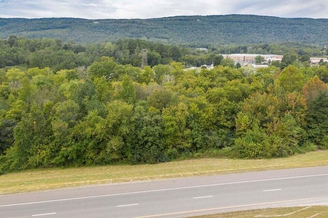 Listing photo 2 for LOT1A Rhea County Hwy, Evensville TN 37332