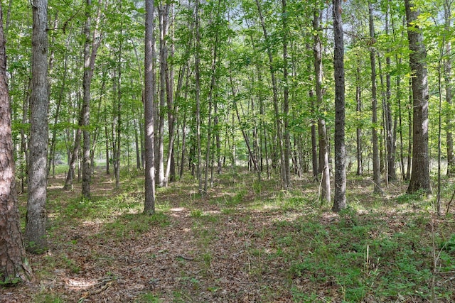 0 Griff Johnson Rd, Menlo, GA 30731
